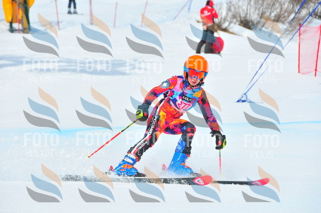 DSC_6335 | holidayphoto