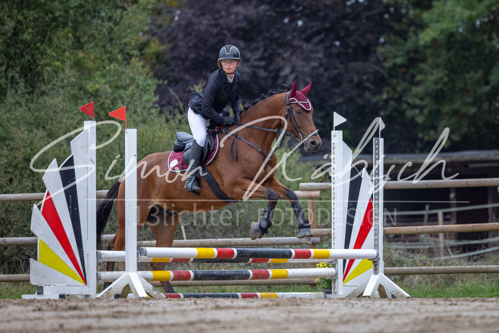 20251012-_3LI2582 | Tierfotografie Pferde, Hunde, Katzen, Haustiere.
Turnierfotografie Reitturniere, Reiten, Springreiten, Dressur in Hanau, dem Main-Kinzig-Kreis und dem Rhein-Main- Gebiet um Frankfurt