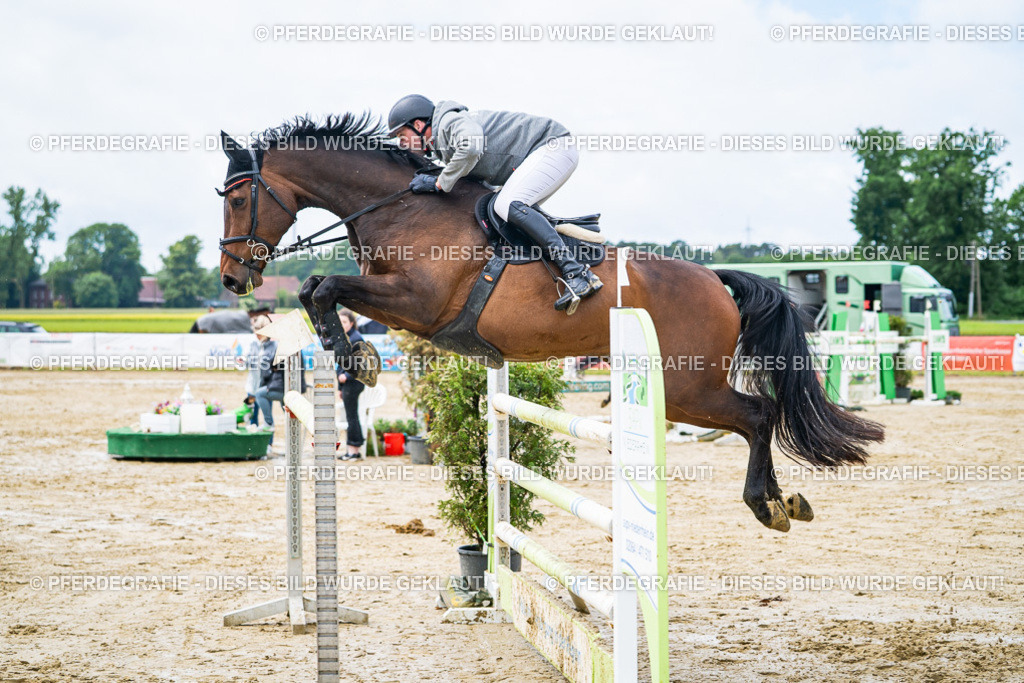 DSC03865 | Pferdegrafie