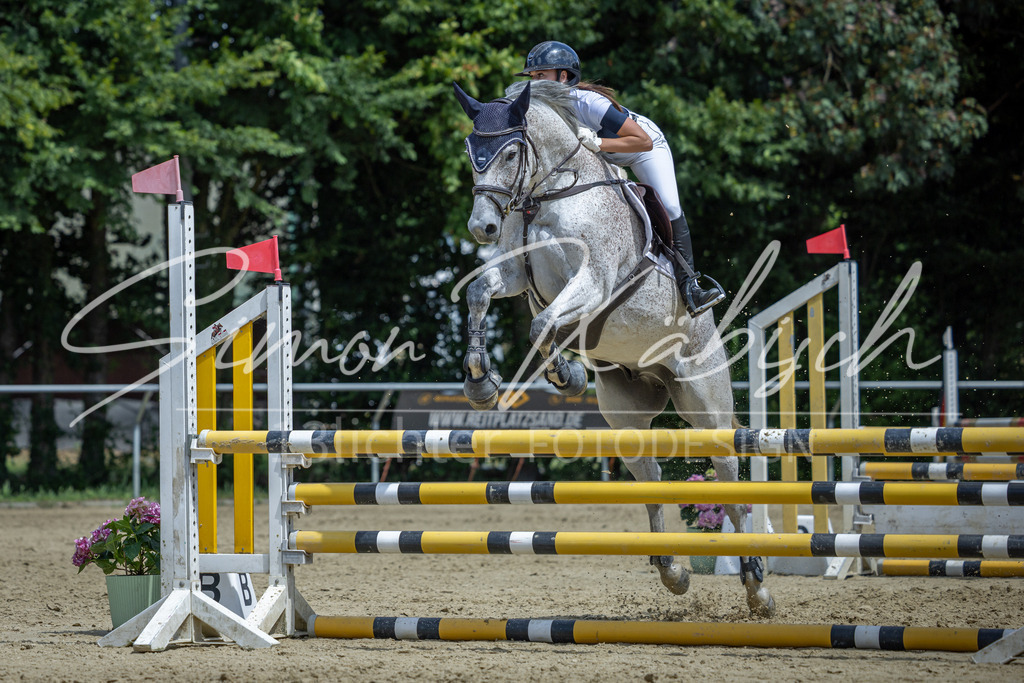 20260704-_3LI9927 | Tierfotografie Pferde, Hunde, Katzen, Haustiere.
Turnierfotografie Reitturniere, Reiten, Springreiten, Dressur in Hanau, dem Main-Kinzig-Kreis und dem Rhein-Main- Gebiet um Frankfurt