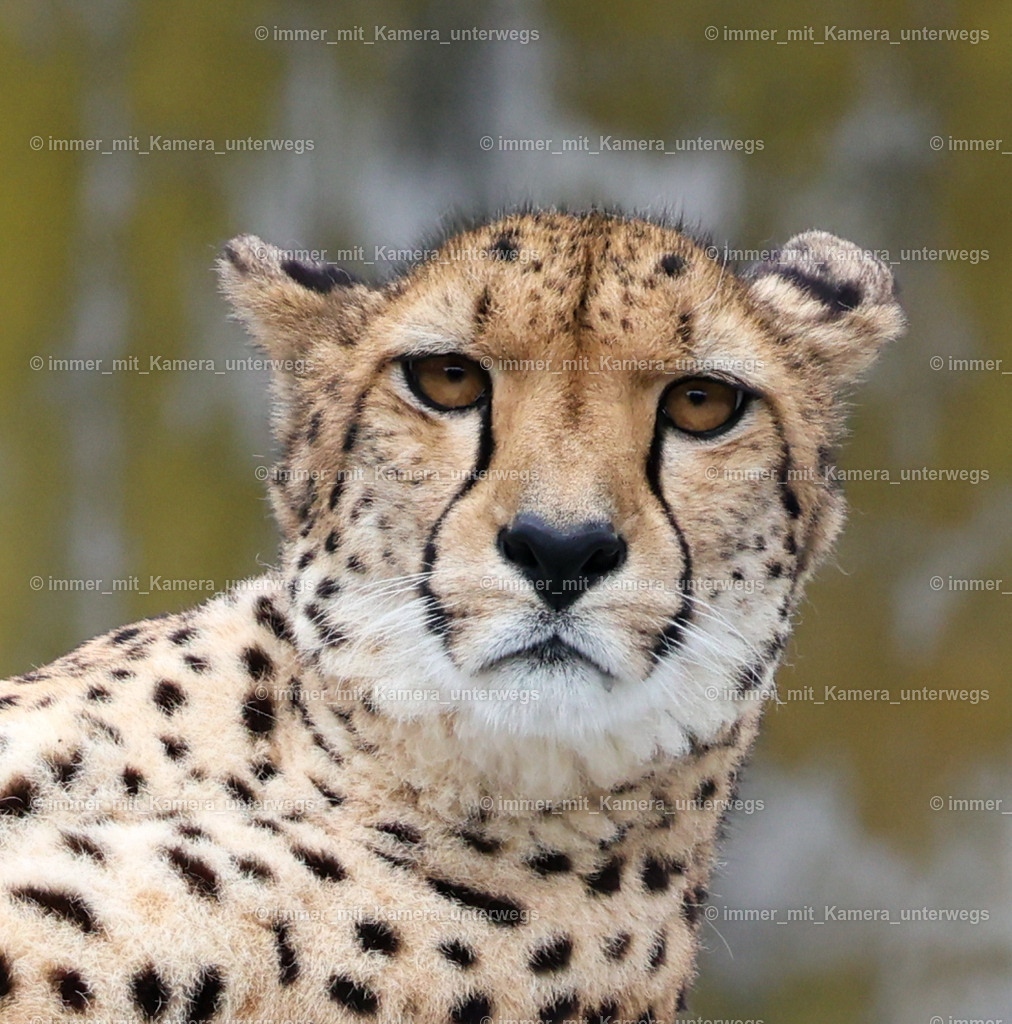 N39A6247 | immer_mit_kamera_unterwegs