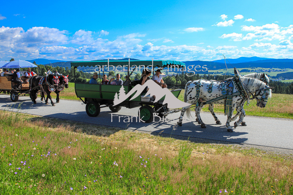 OE7A9866 | Medien- Sport- Entertainmentfotos