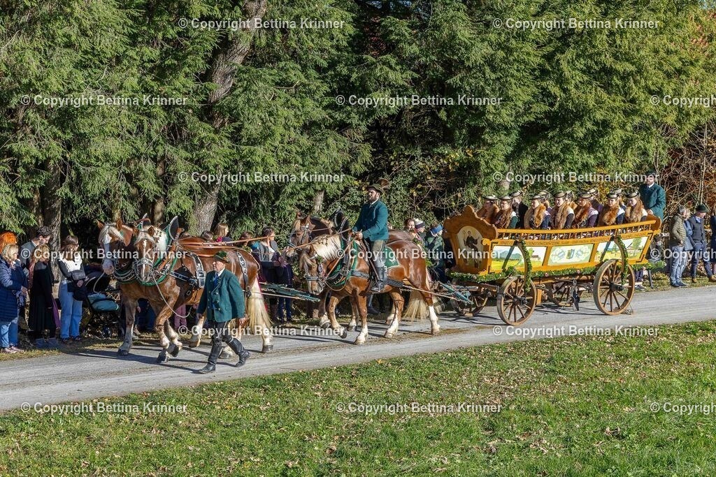 LBT25-619 | foto-bettina-krinner - Realisiert mit Pictrs.com