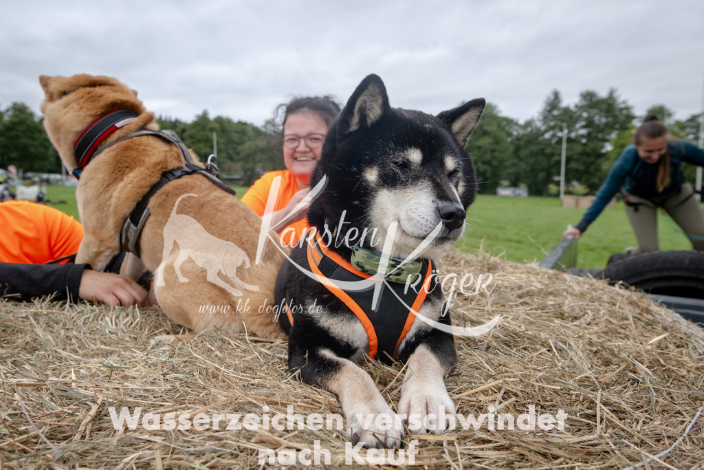 1229_ZZ90839 | kk-dogfotos