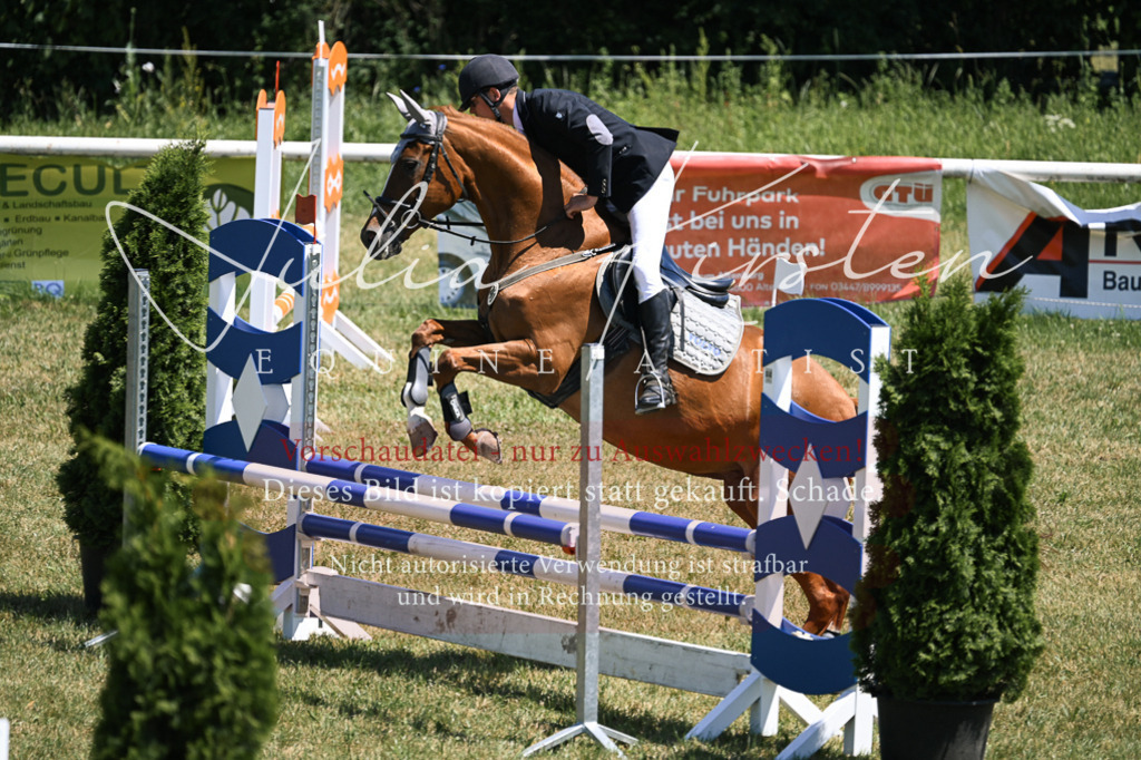 DSC_9979 | Pferde- und Turnierfotografie in Westsachsen. Pferdeportraits, Auftragszeichnungen und intuitive Kunst.