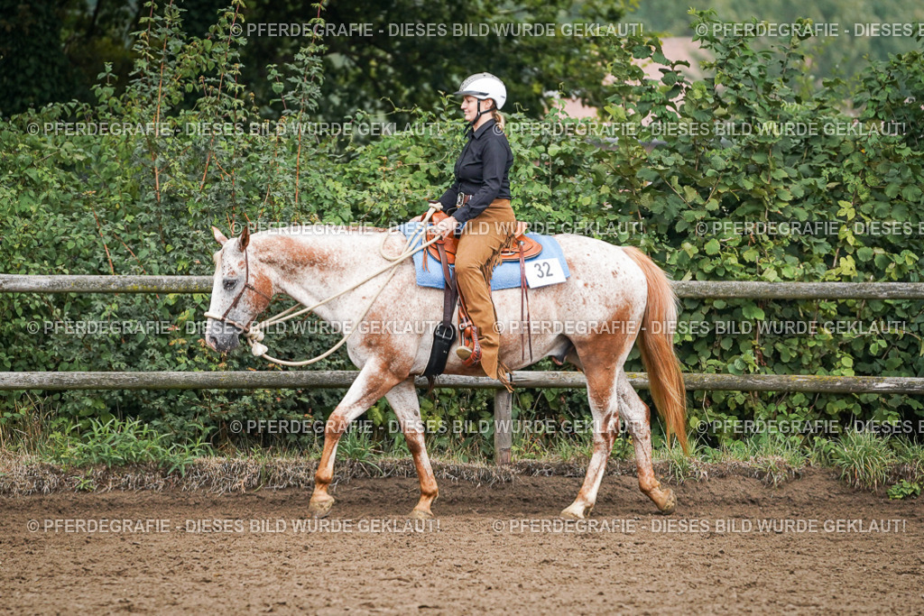 DSC01852 | Pferdegrafie