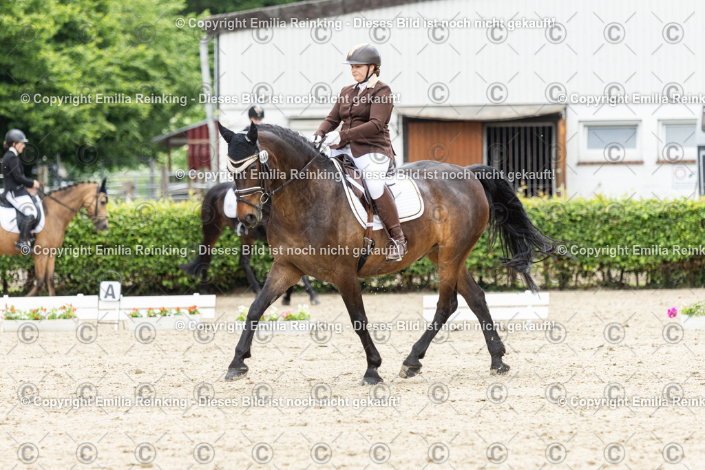 CL5A0919 | Emilia Reinking Fotografie - Realisiert mit Pictrs.com