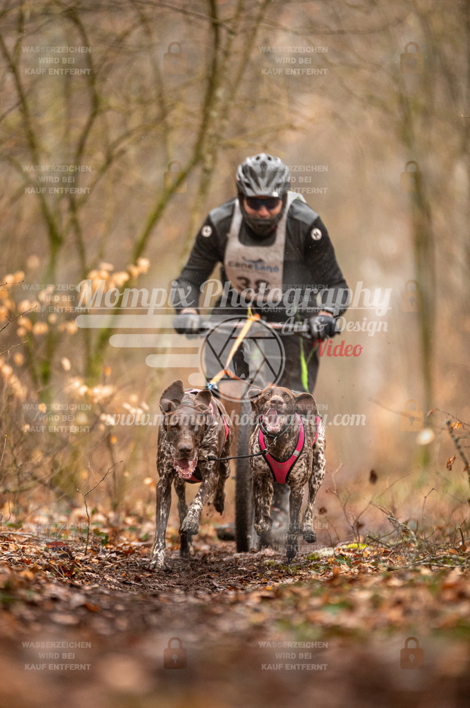 Reiat2023_SON_DS2_5km_2H-19 | mompixphotography