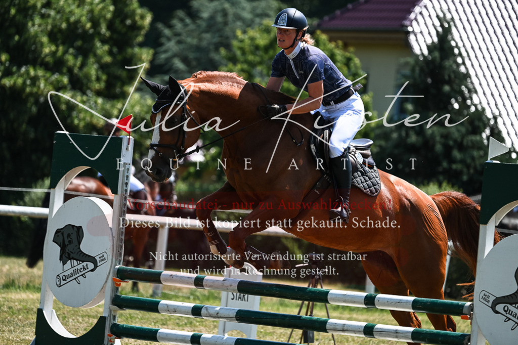 DSC_0125 | Pferde- und Turnierfotografie in Westsachsen. Pferdeportraits, Auftragszeichnungen und intuitive Kunst.