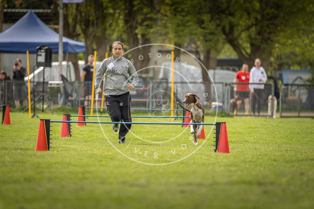 Pfotenfotografie_DV3A5851 | Hundefotografie, Tierfotograf, Pfotenfotografie, Fotoshooting Hund, Hunde Portrait, Hundesport, Hundeportraits, Heideshooting, Hunde, Sportfotograf, Hundefotograf, Turnierhundsport, THS,  - Realisiert mit Pictrs.com