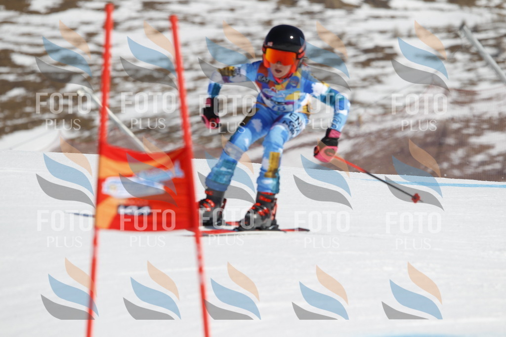 _U3G9962 | holidayphoto