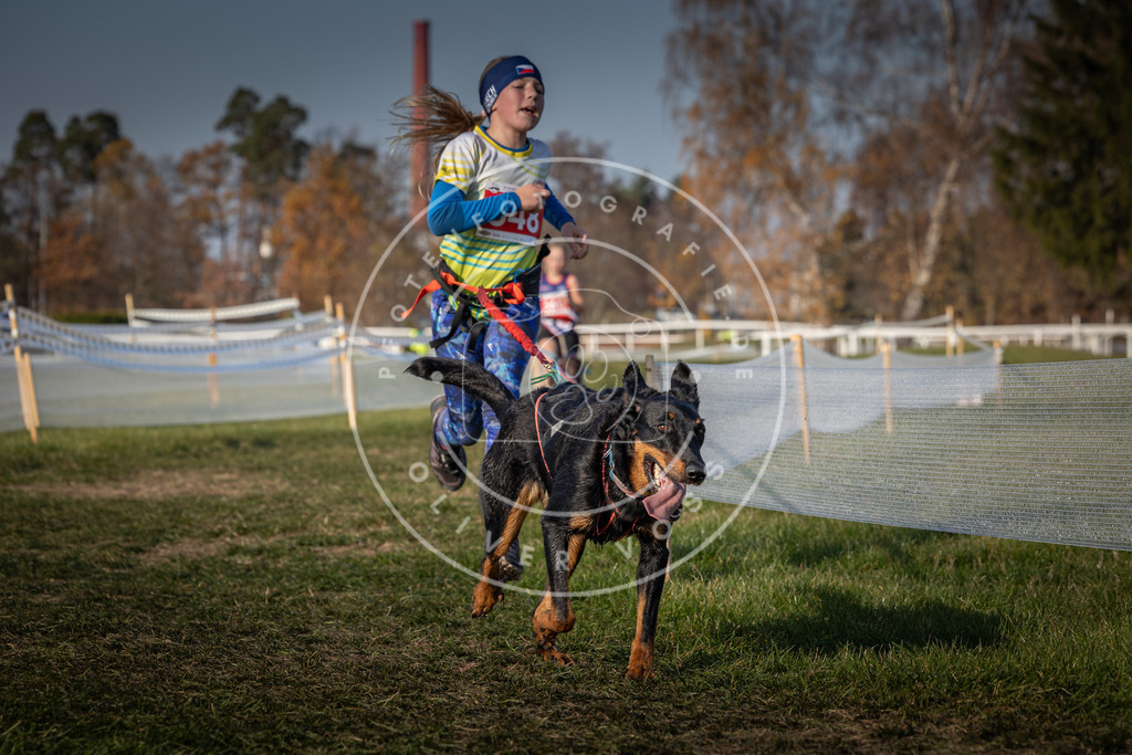 CaniXpix_0L8A9261 | Hundefotografie, Tierfotograf, Pfotenfotografie, Fotoshooting Hund, Hunde Portrait, Hundesport, Hundeportraits, Heideshooting, Hunde, Sportfotograf, Hundefotograf, Turnierhundsport, THS,  - Realisiert mit Pictrs.com