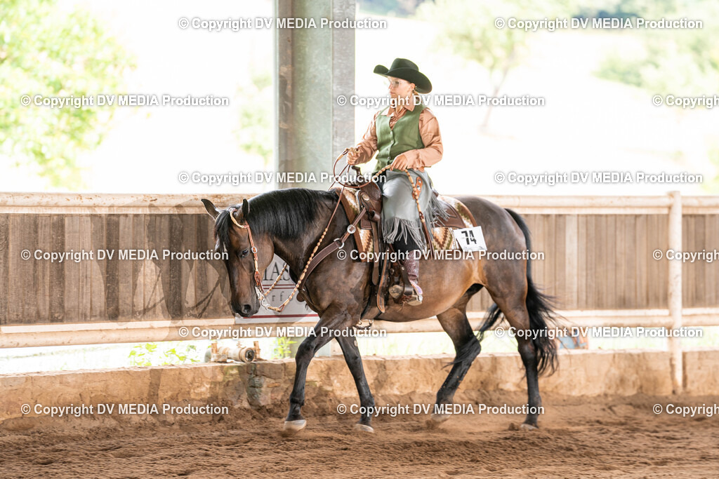 Erbach Tag 1-689 | dv-media-shop - Realisiert mit Pictrs.com