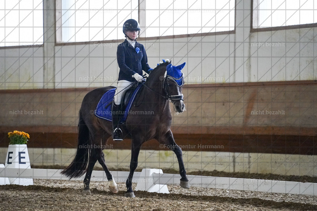 20240825-FAH09011 | Turnierbilder, Reitsportfotos, LAPO, Landesponyturnier, Turnierfotografen Bayern