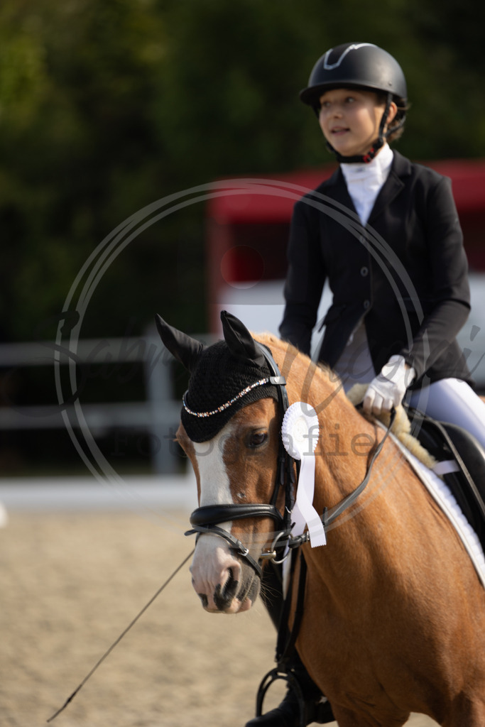 994A1476 | sabrinanicolaifotografie - Realisiert mit Pictrs.com