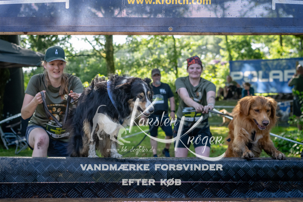 1539_ZZ92483 | kk-dogfotos