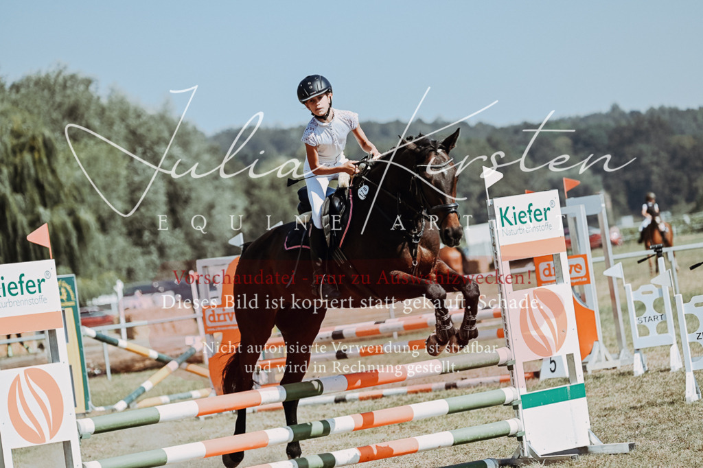 DSC_9830 | Pferde- und Turnierfotografie in Westsachsen. Pferdeportraits, Auftragszeichnungen und intuitive Kunst.