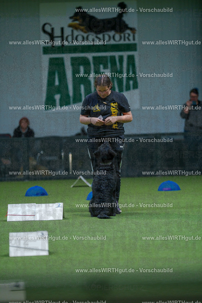 7R501135 | Professionelle Tierfotografie in Mönchengladbach von Daniel Wirth (allesWIRTHgut). Liebevolle & natürliche Bilder von Hunden & Katzen für unvergessliche Erinnerungen.