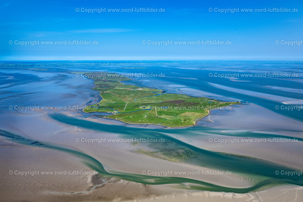 Hallig_Langeness_ELS_6606210625 | LANGENEß 21.06.2025 Grasflächen- Strukturen einer Hallig- Landschaft der Nordsee - Insel in Langeneß Nordfriesland im Bundesland Schleswig-Holstein, Deutschland. // Green space structures a Hallig Landscape the North Sea island in Langeness North Friesland in the state Schleswig-Holstein, Germany. Foto: Martin Elsen