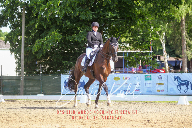 DKP41256 | Turniersportfotografie; Pferdefotografie; Dressurfotografie