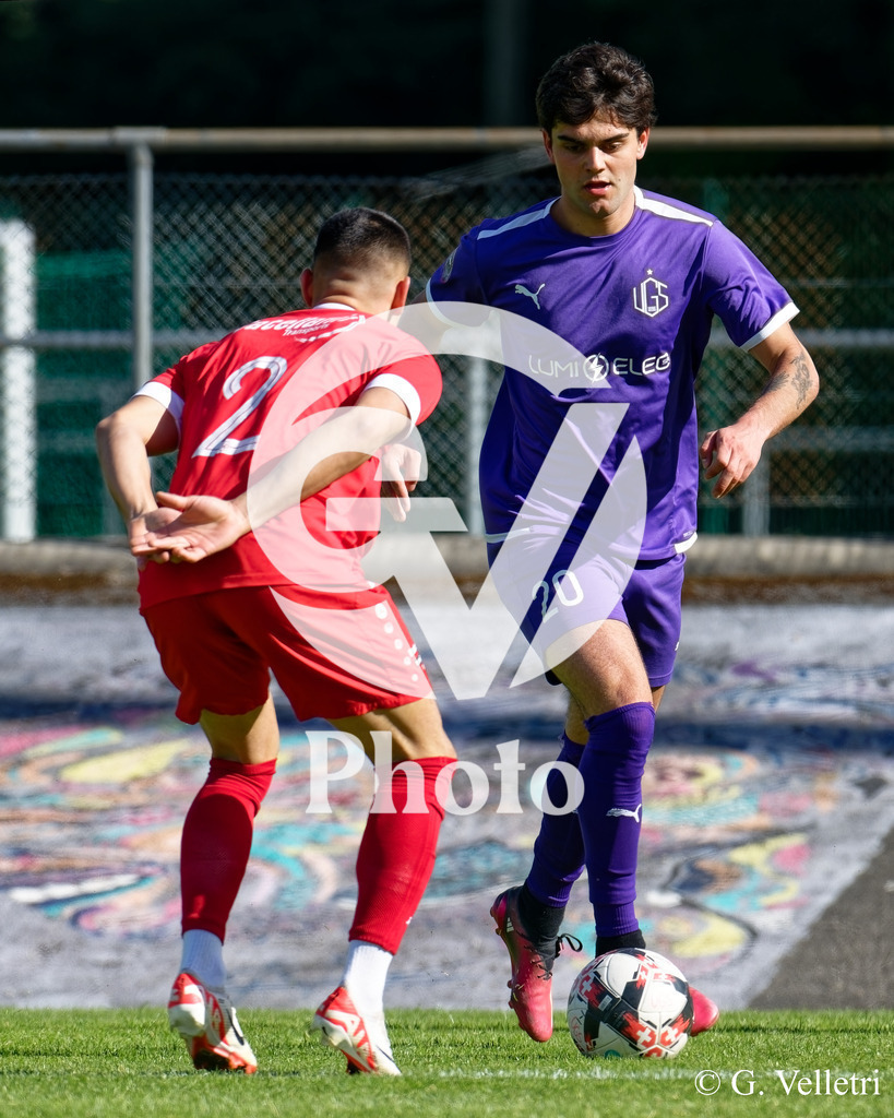 DSC_6868 | Velletri Photo