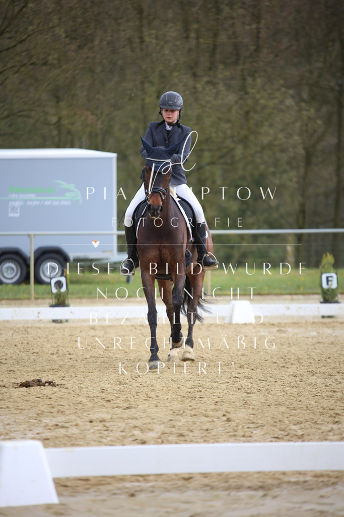 IMGT7250 | pl-fotografie