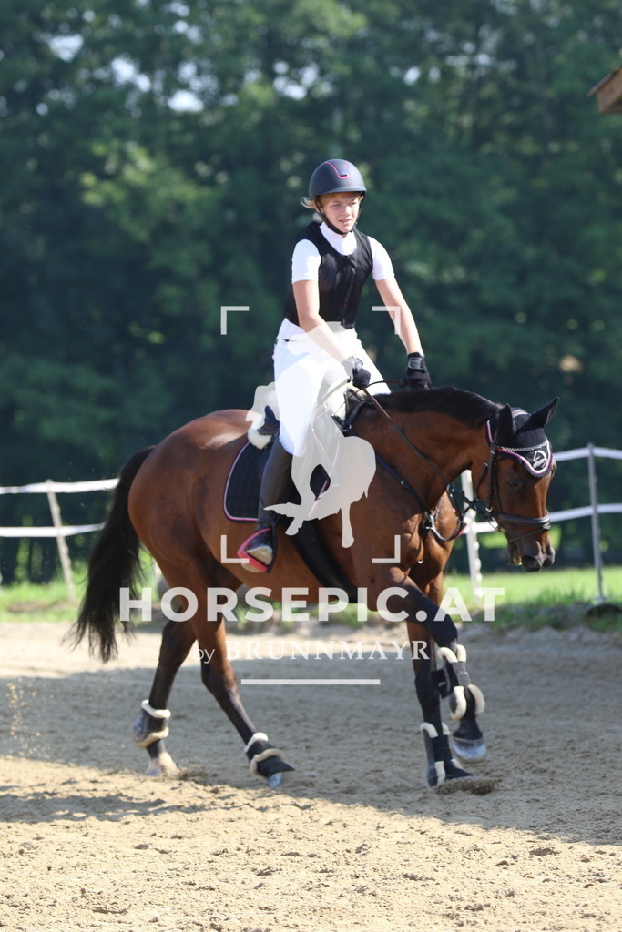 7V2A4064 | Willkommen bei Brunnmayr - Design & Fotografie – Ihrem Spezialisten für Reitturniere und Pferdeveranstaltungen in Oberösterreich, Salzburg und Bayern! Seit über 17 Jahren sind wir leidenschaftlich dabei.