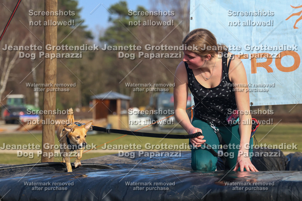 Dog Paparazzi - Strongdog North Mrz26-3462 | Dog Paparazzi Jeanette Grottendiek Fotografie & Videografie - Realisiert mit Pictrs.com