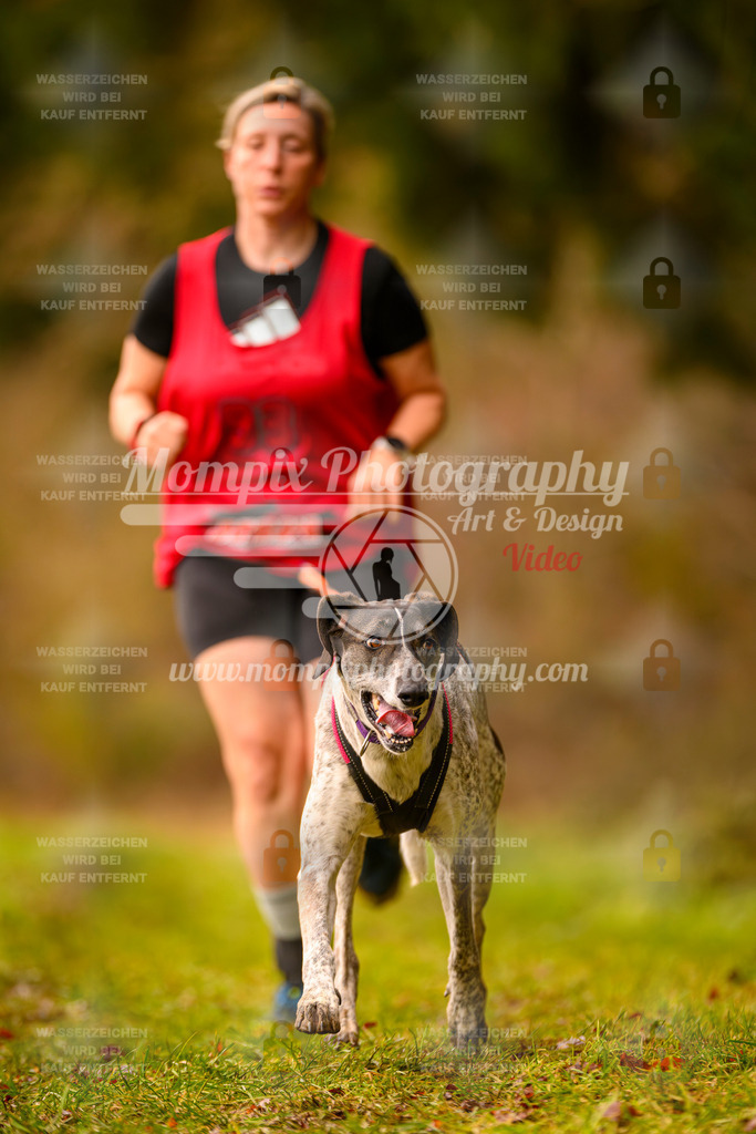 MompixPhotography_2SSTSSBW_2025_SO_Canicross-34 | PayLife