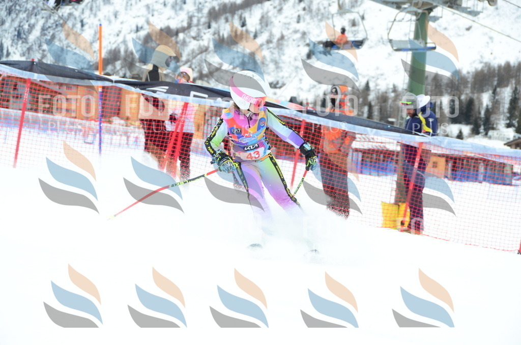 DSC_0922 | holidayphoto