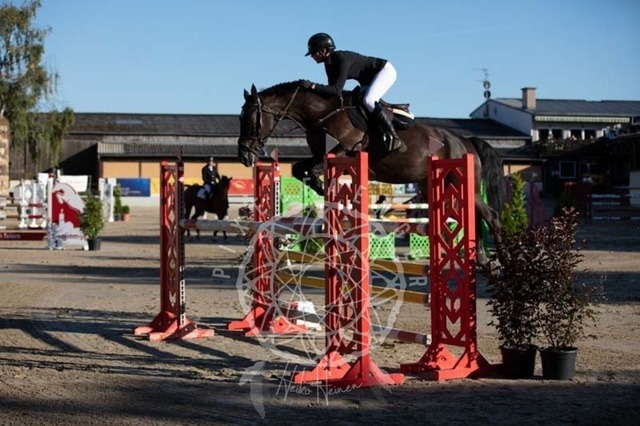 2B4A0789 | pixelfaenger - Realisiert mit Pictrs.com