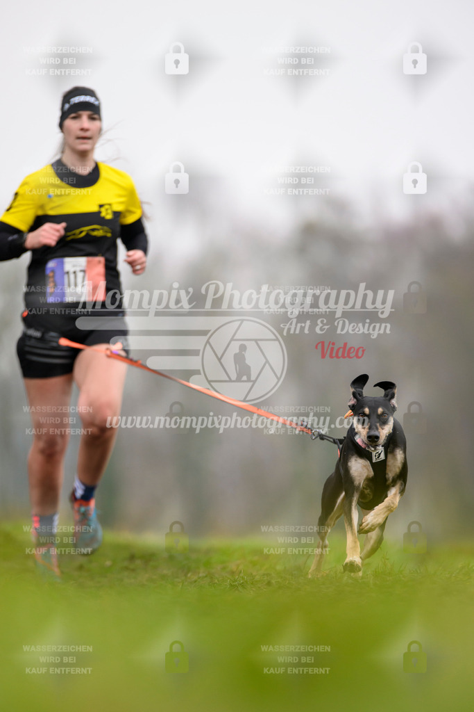 MompixPhotography_CDF2023_FFST_Di_Canicross-86 | PayLife