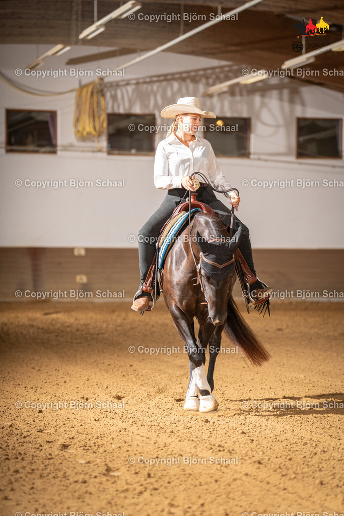 LMS07485 | BS-foto