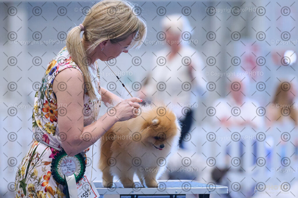 202406_ÖKV-IHA-Tulln24_DSC_4449 | proPHOTO - Realisiert mit Pictrs.com