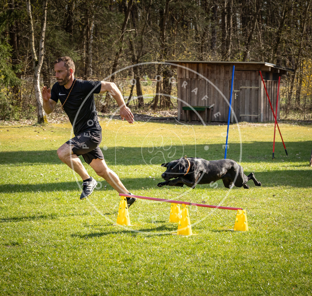 Pfotenfotografie_DV3A1735 | Hundefotografie, Tierfotograf, Pfotenfotografie, Fotoshooting Hund, Hunde Portrait, Hundesport, Hundeportraits, Heideshooting, Hunde, Sportfotograf, Hundefotograf, Turnierhundsport, THS,  - Realisiert mit Pictrs.com