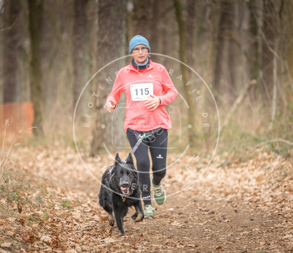 Pfotenfotografie_DV3A7741 | Hundefotografie, Tierfotograf, Pfotenfotografie, Fotoshooting Hund, Hunde Portrait, Hundesport, Hundeportraits, Heideshooting, Hunde, Sportfotograf, Hundefotograf, Turnierhundsport, THS,  - Realisiert mit Pictrs.com