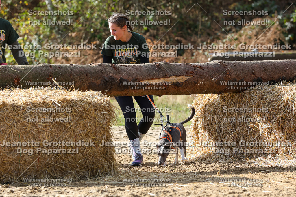Dog Paparazzi - Strongdog 10-25-5767 | Dog Paparazzi Jeanette Grottendiek Fotografie & Videografie - Realisiert mit Pictrs.com