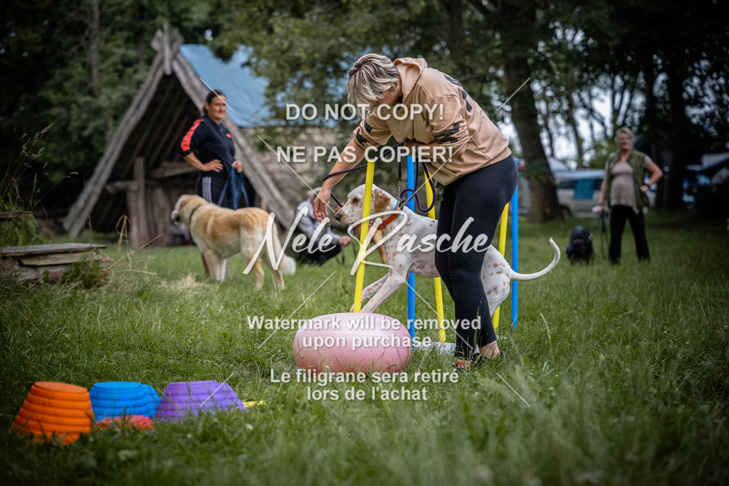 nelerasche_SoEarlyDog_93 | nelerasche
