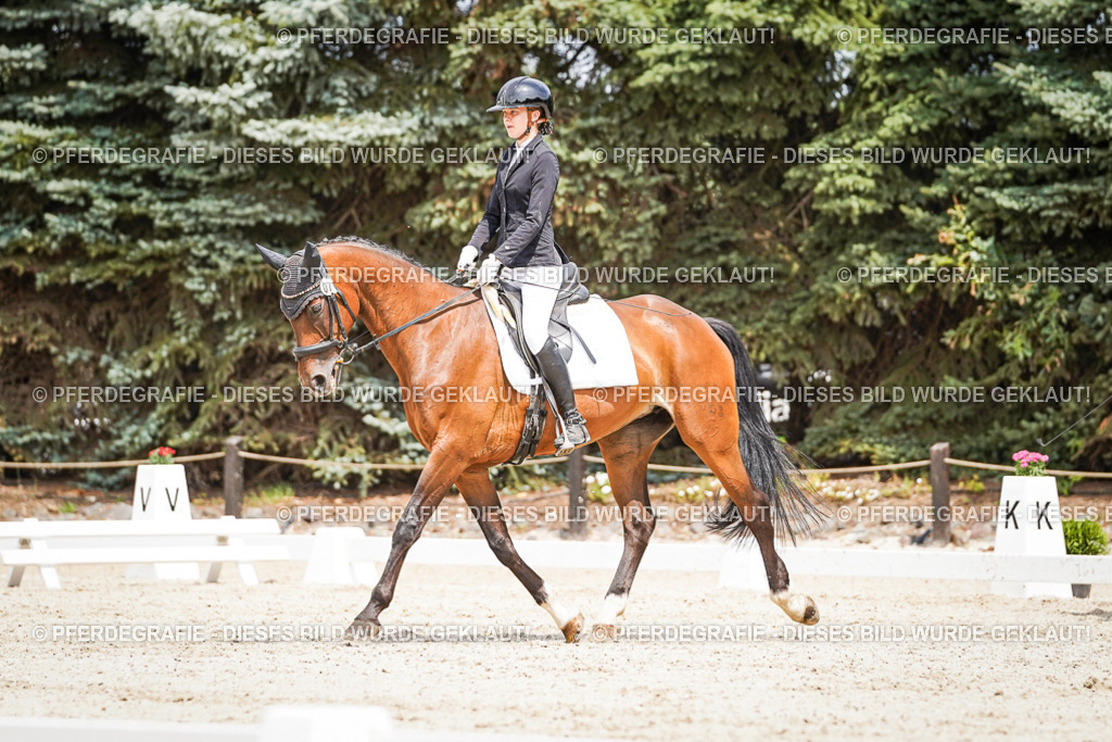 DSC03467 | Pferdegrafie