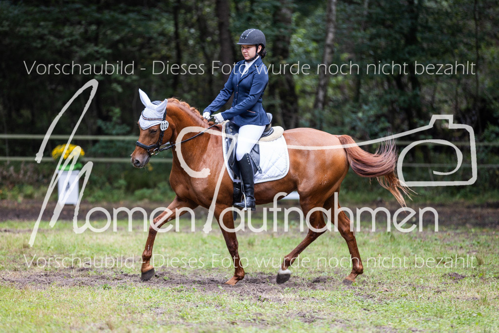 HB-Dressur-WB-068 | MomenTaufnahmen Pferdesportfotos