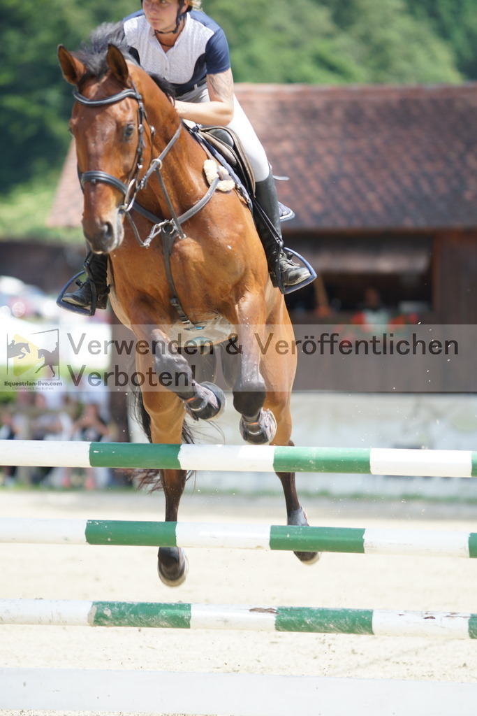 DSC00625 | equestrian-live-com
