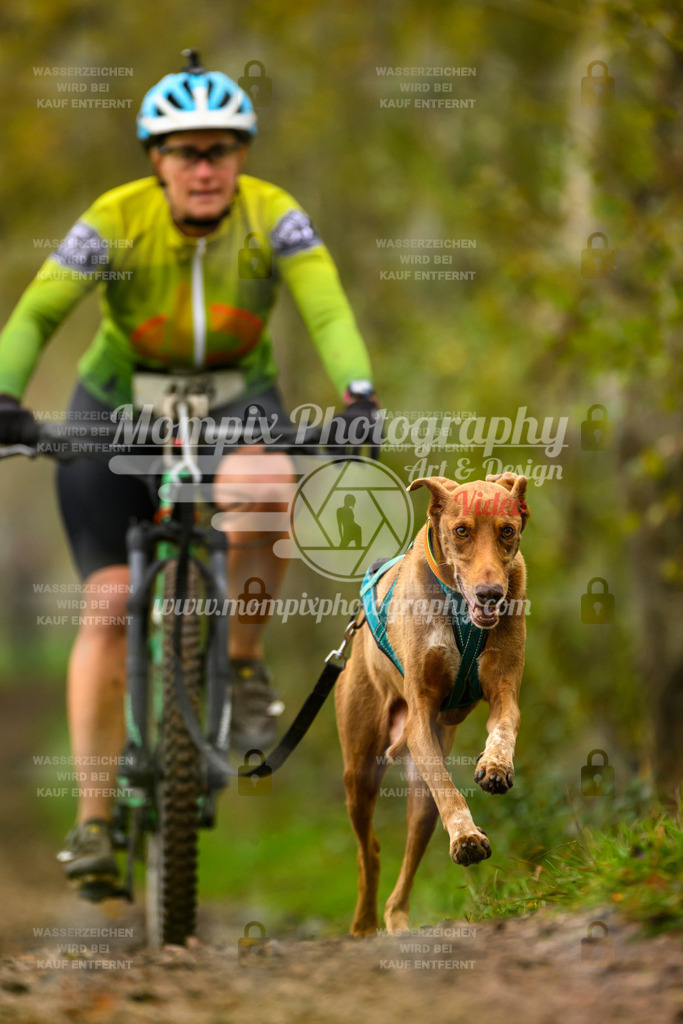 MompixPhotography_20TSB_E6_Bike-159 | PayLife