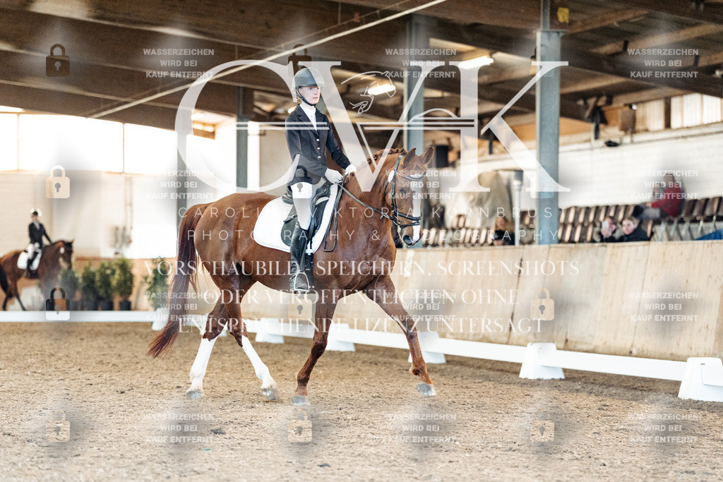 CK908572 | Turnierfotografie Pferdefotografie Trier Rheinland-Pfalz Pferdesport Reitsport Tierfotografie Sportfotografie Pferdevideo Pferdevideografie Equestrianvideography equestrianphotography  - Realisiert mit Pictrs.com