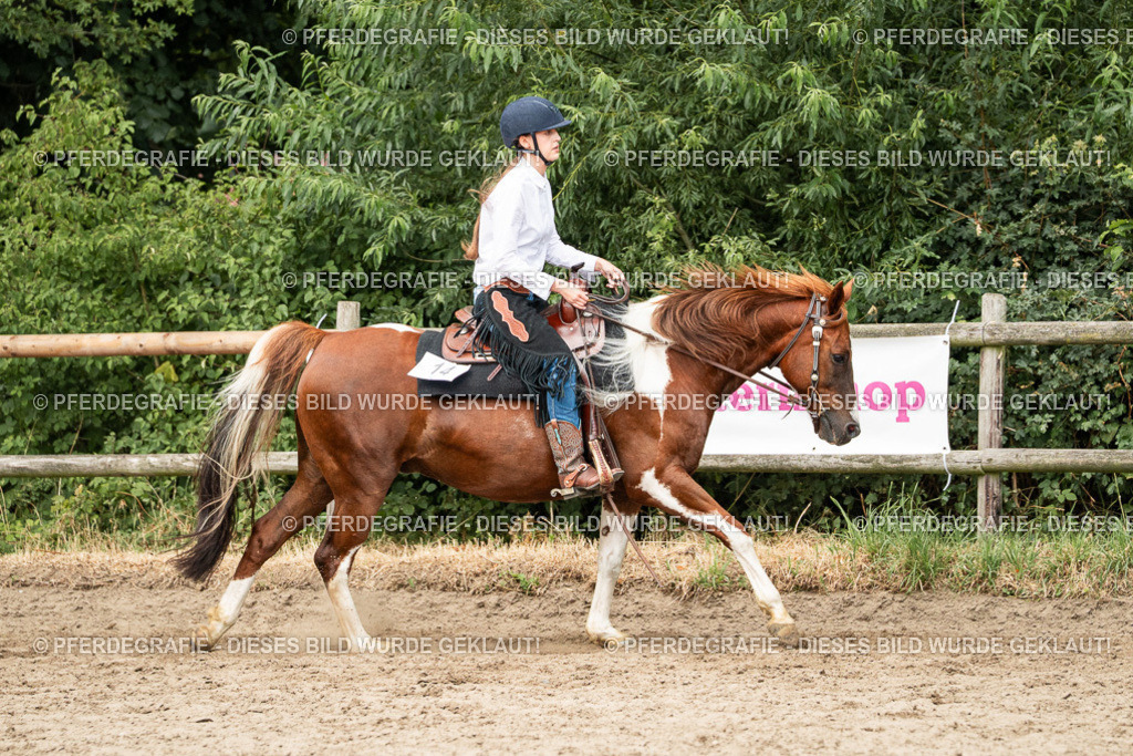 DSC03977 | Pferdegrafie