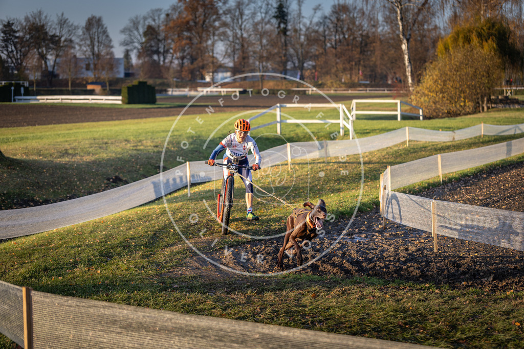 CaniXpix_DV3A9914 | Hundefotografie, Tierfotograf, Pfotenfotografie, Fotoshooting Hund, Hunde Portrait, Hundesport, Hundeportraits, Heideshooting, Hunde, Sportfotograf, Hundefotograf, Turnierhundsport, THS,  - Realisiert mit Pictrs.com