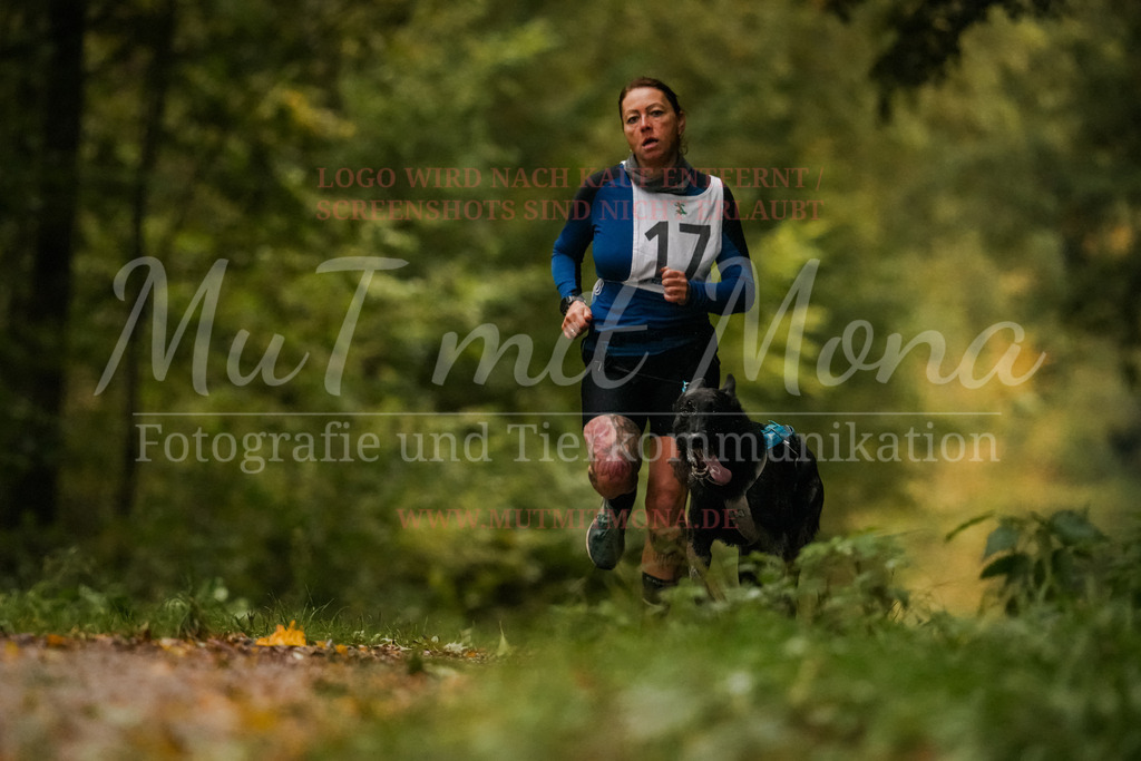 20251005_THS_Turnier-148 | MuT (Mensch und Tier) mit Mona - Fotografie und Tierkommunikation - Realisiert mit Pictrs.com