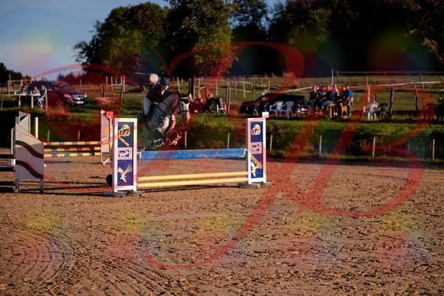 2026_10_03_Siefer-Hof_171433_Z81_11958334 | Professionelle Reitsport-, Turnier- und Eventfotografie von Robert Broda. Galerien mit ausgewählten und bearbeiteten Bildern direkt online ansehen und bestellen.