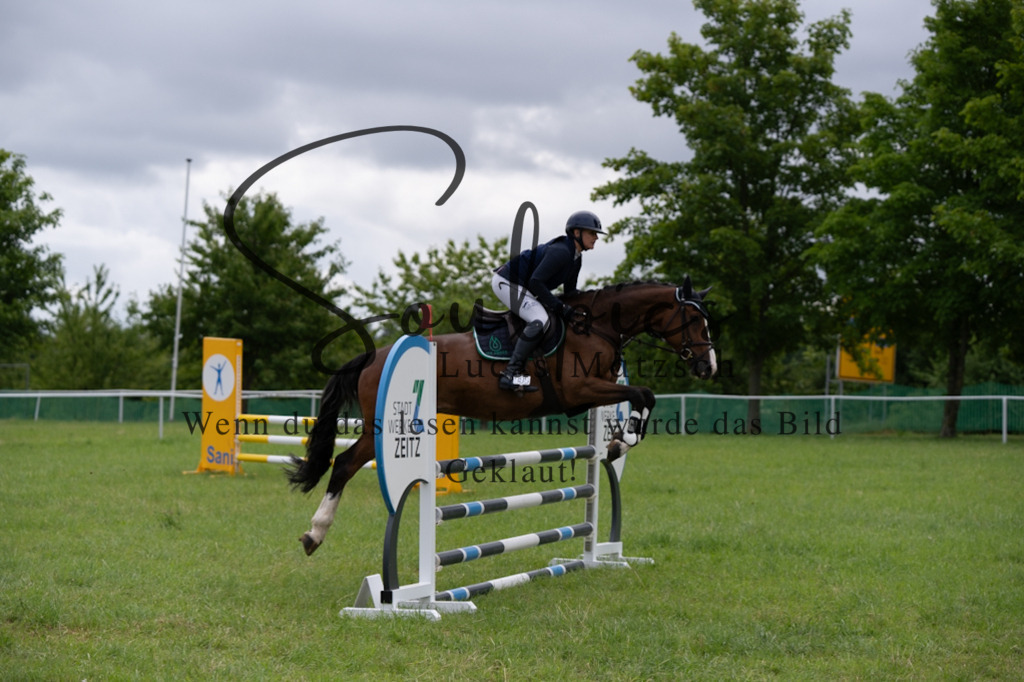 A7V03928 | Pferdefotograf