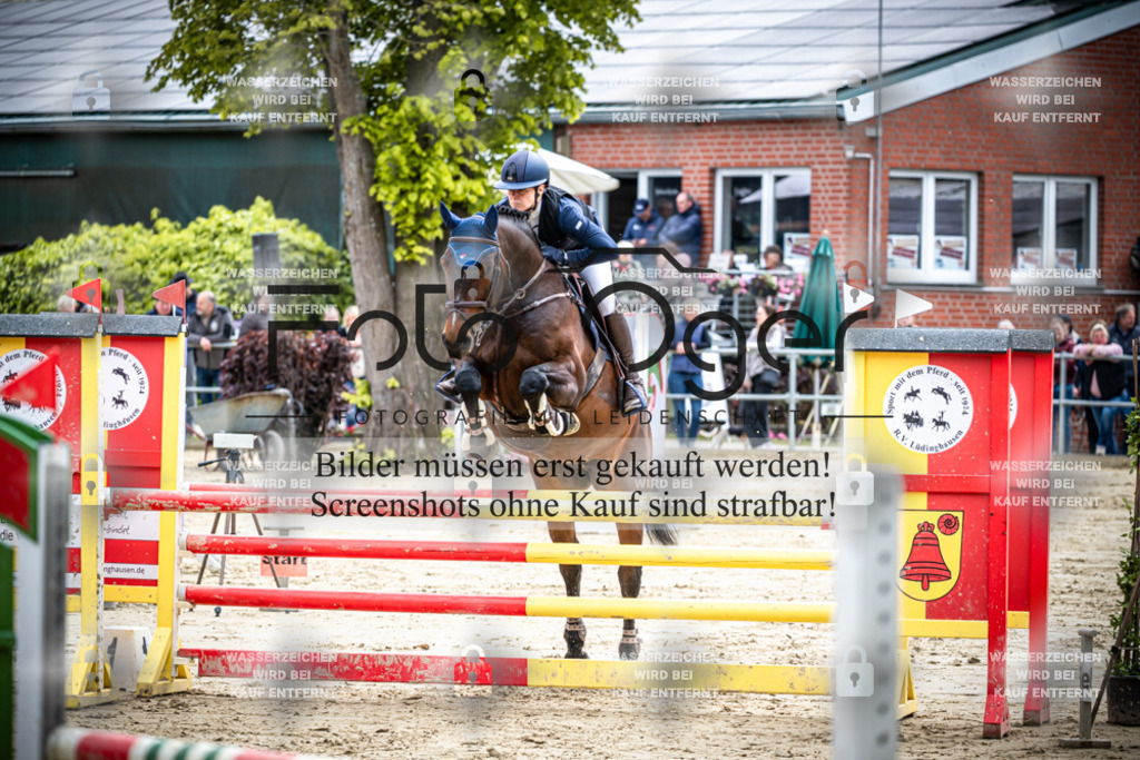 DOS_1100 | Reitturnier Lüdinghausen - Realisiert mit Pictrs.com