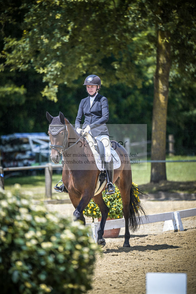 DOS_4242 | Entdecke hochwertige Reitturnierfotos von Foto Oger. Professionell, emotional und authentisch – jetzt Lieblingsmomente im Shop bestellen.Deutschlandweite Turnierfotografie. - Realisiert mit Pictrs.com
